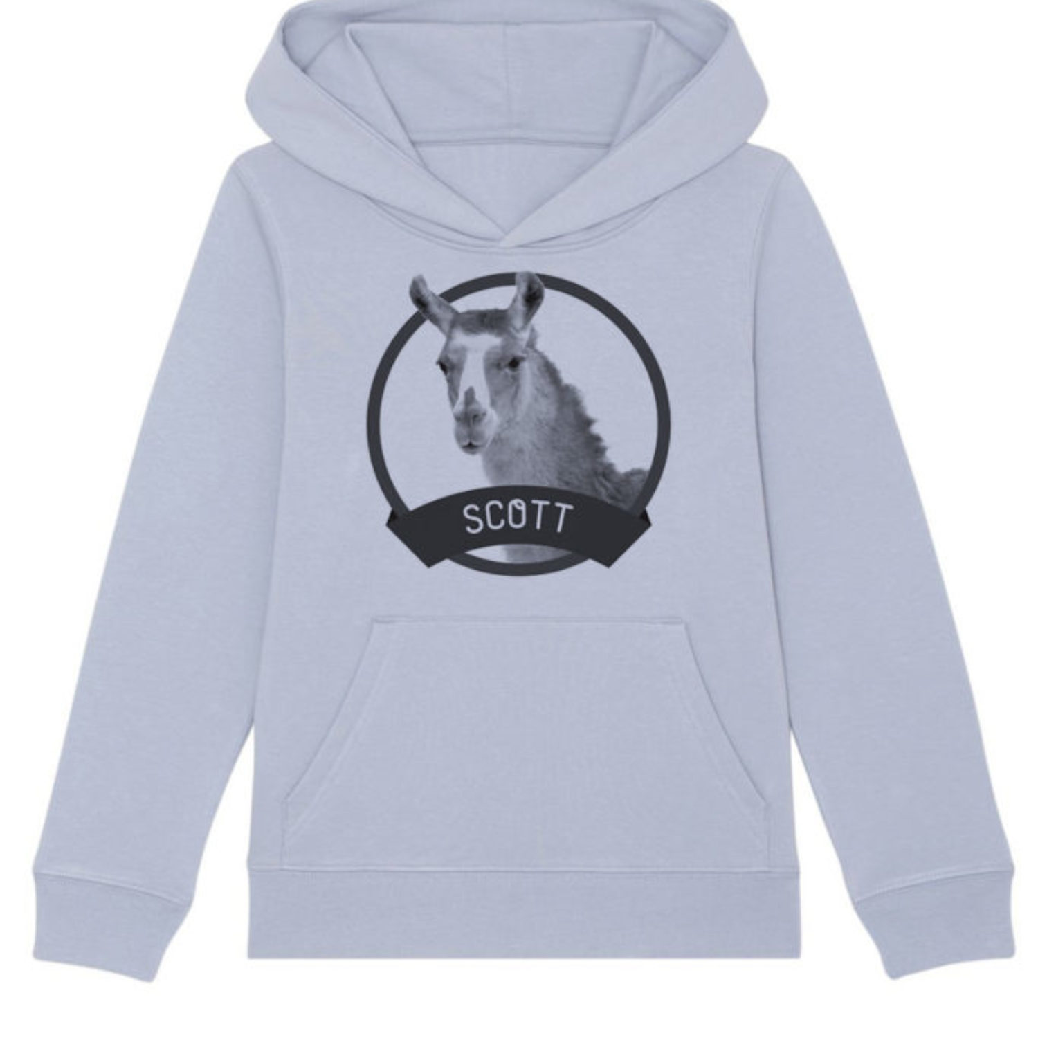 Sweatshirt capuche enfant - Scott