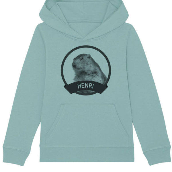 Sweatshirt capuche enfant - Henri