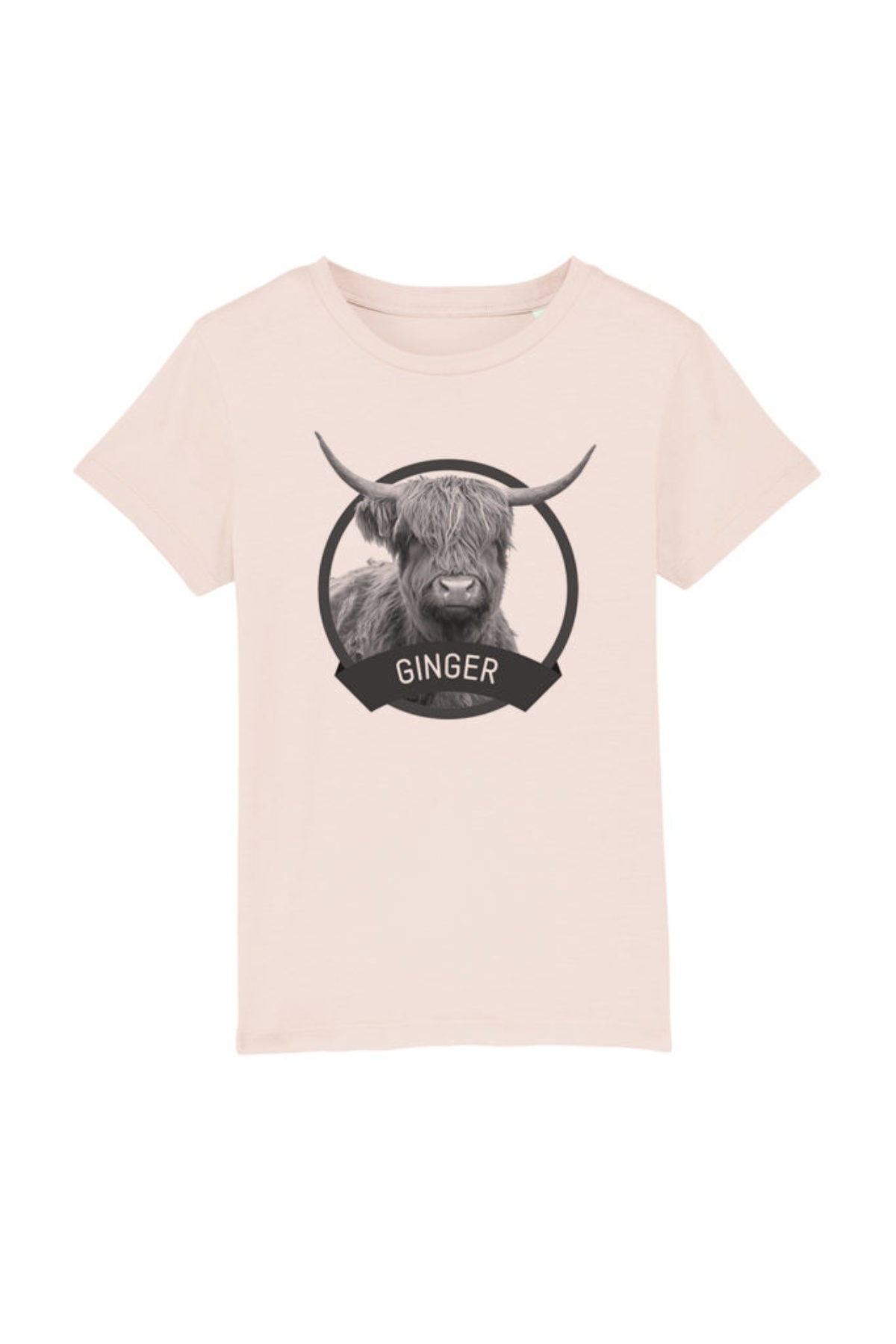 T-shirt enfant - Ginger