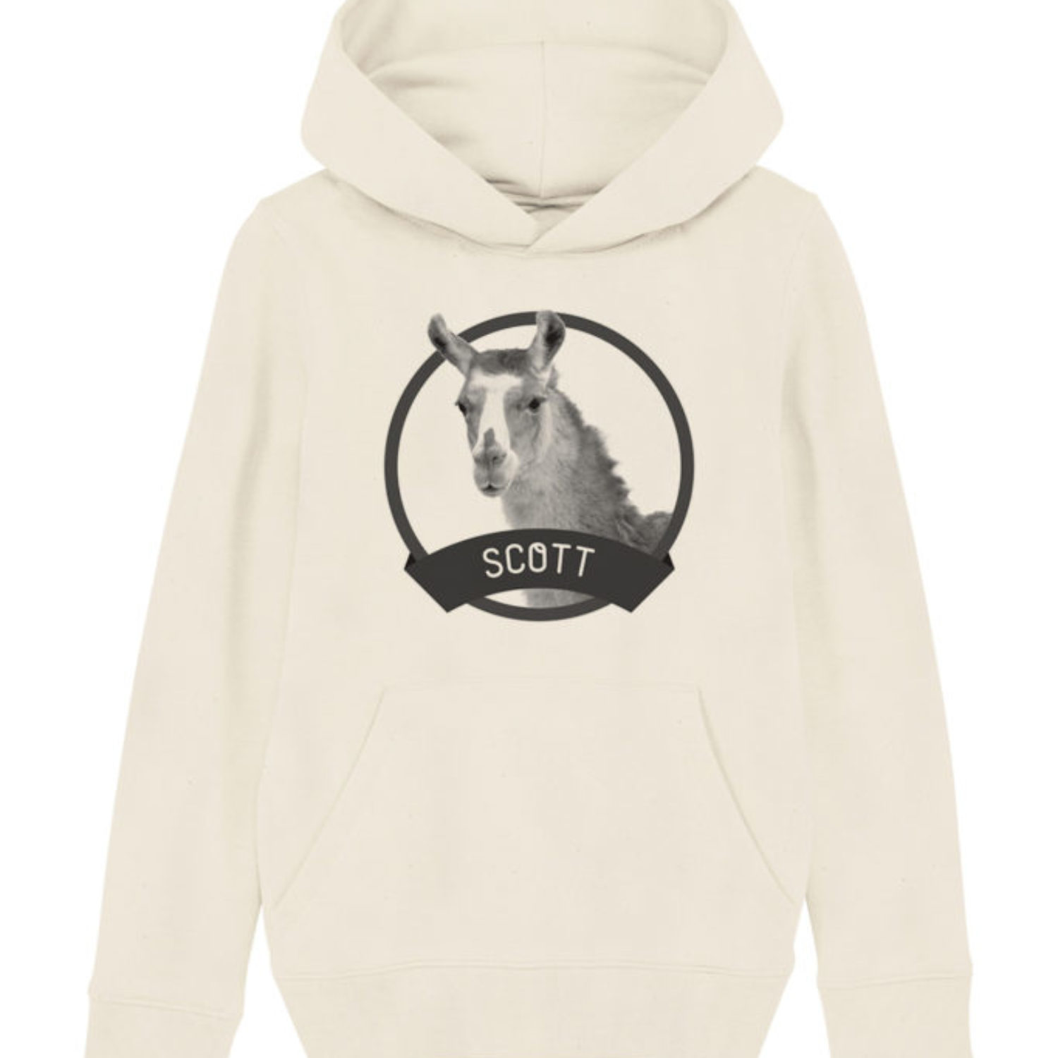 Sweatshirt capuche enfant - Scott